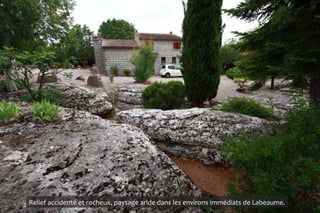 Relief accidenté et rocheux, paysage aride dans les environs immédiats de Labeaume.
 