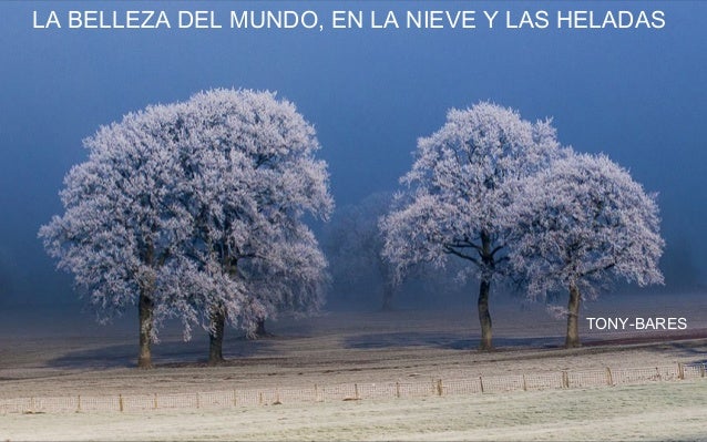 LA BELLEZA DEL MUNDO, EN LA NIEVE Y LAS HELADAS
TONY-BARES
 