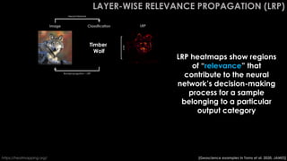 Disentangling Climate Forcing in Multi-Model Large Ensembles Using Neural Networks