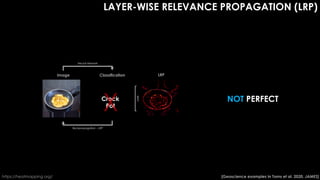 Disentangling Climate Forcing in Multi-Model Large Ensembles Using Neural Networks