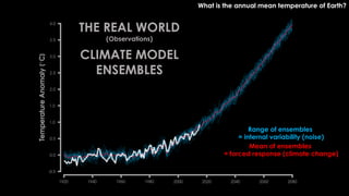 Disentangling Climate Forcing in Multi-Model Large Ensembles Using Neural Networks