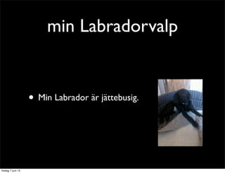min Labradorvalp
• Min Labrador är jättebusig.
fredag 7 juni 13
 