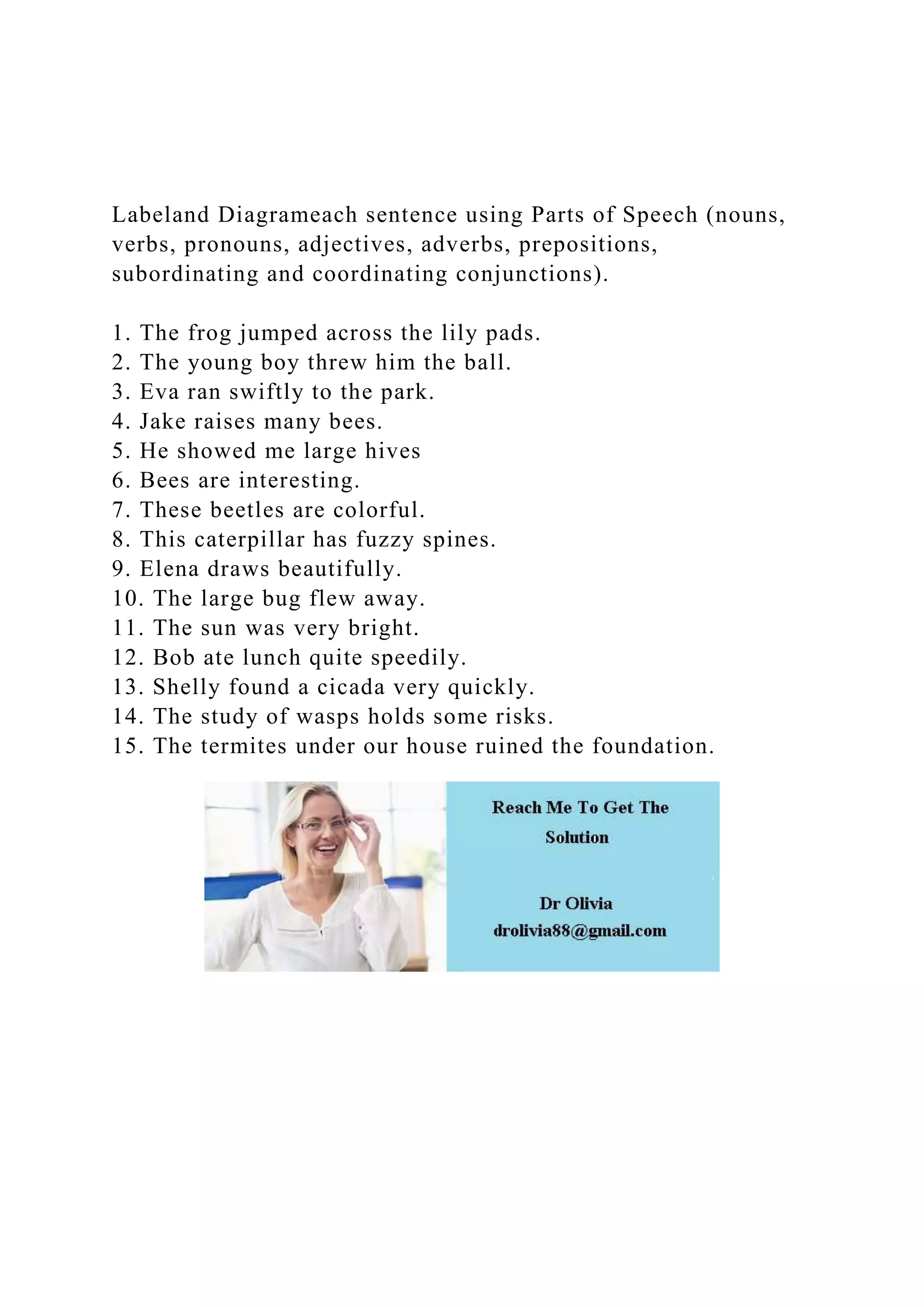 Labeland Diagrameach sentence using Parts of Speech (nouns, verb.docx