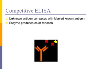 Competitive ELISA
 Unknown antigen competes with labeled known antigen
 Enzyme produces color reaction
 