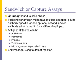 Sandwich or Capture Assays
 Antibody bound to solid phase.
 If looking for antigen must have multiple epitopes, bound
antibody specific for one epitope, second labeled
antibody added specific for a different epitope.
 Antigens detected can be
 Antibodies
 Hormones
 Proteins
 Tumor markers
 Microorganisms especially viruses
 Enzyme label used to detect reaction
 