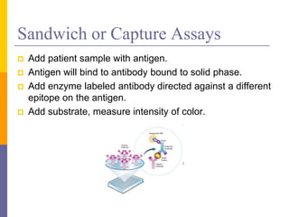 Sandwich or Capture Assays
 Add patient sample with antigen.
 Antigen will bind to antibody bound to solid phase.
 Add enzyme labeled antibody directed against a different
epitope on the antigen.
 Add substrate, measure intensity of color.
 