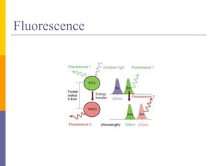 Fluorescence
 