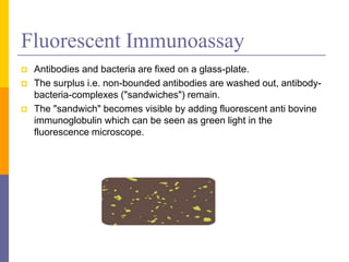 Fluorescent Immunoassay
 Antibodies and bacteria are fixed on a glass-plate.
 The surplus i.e. non-bounded antibodies are washed out, antibody-
bacteria-complexes ("sandwiches") remain.
 The "sandwich" becomes visible by adding fluorescent anti bovine
immunoglobulin which can be seen as green light in the
fluorescence microscope.
 