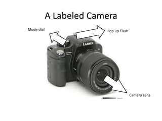 A Labeled Camera
Camera Lens
Mode dial Pop up Flash
 