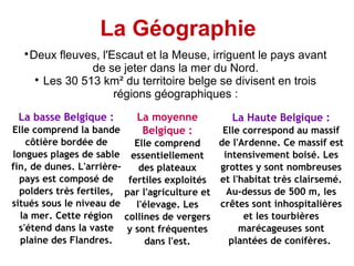 La Géographie
  
    Deux fleuves, l'Escaut et la Meuse, irriguent le pays avant
                de se jeter dans la mer du Nord.
     
       Les 30 513 km² du territoire belge se divisent en trois
                     régions géographiques :
 La basse Belgique :          La moyenne           La Haute Belgique :
Elle comprend la bande         Belgique :         Elle correspond au massif
    côtière bordée de          Elle comprend     de l'Ardenne. Ce massif est
longues plages de sable       essentiellement     intensivement boisé. Les
fin, de dunes. L'arrière-       des plateaux     grottes y sont nombreuses
  pays est composé de        fertiles exploités et l'habitat très clairsemé.
  polders très fertiles,    par l'agriculture et   Au-dessus de 500 m, les
situés sous le niveau de       l'élevage. Les    crêtes sont inhospitalières
  la mer. Cette région      collines de vergers        et les tourbières
  s'étend dans la vaste      y sont fréquentes        marécageuses sont
  plaine des Flandres.           dans l'est.       plantées de conifères.
 