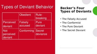 Deviance Types Chapter 14: Concept of Labeling Theories | PDF