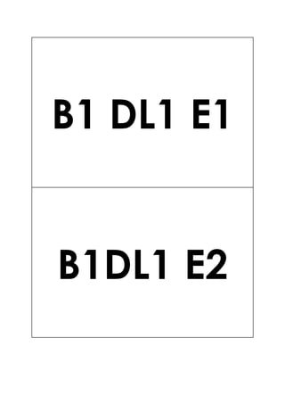 B1 DL1 E1
B1DL1 E2
 