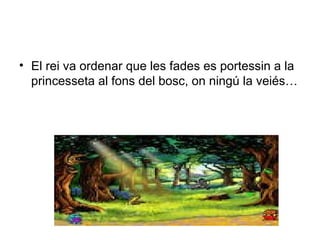 • El rei va ordenar que les fades es portessin a la 
princesseta al fons del bosc, on ningú la veiés… 
 