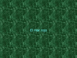 El mar rojo 