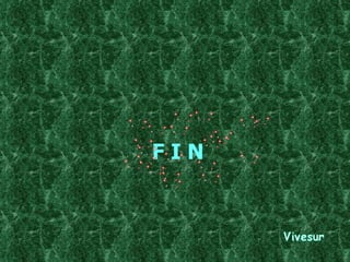F I N 