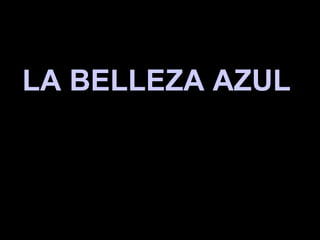 LA BELLEZA AZULLA BELLEZA AZUL
 