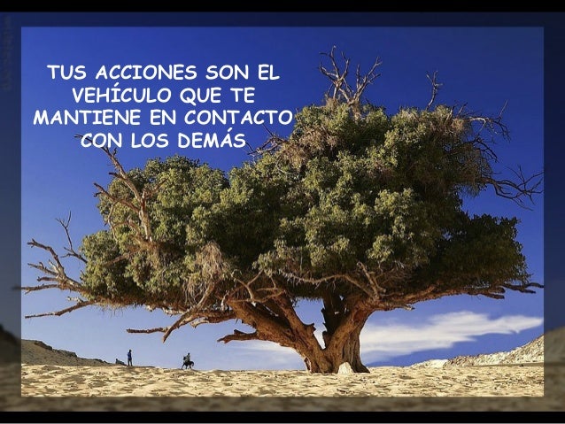 Résultat de recherche d'images pour "La belleza de un arbol"