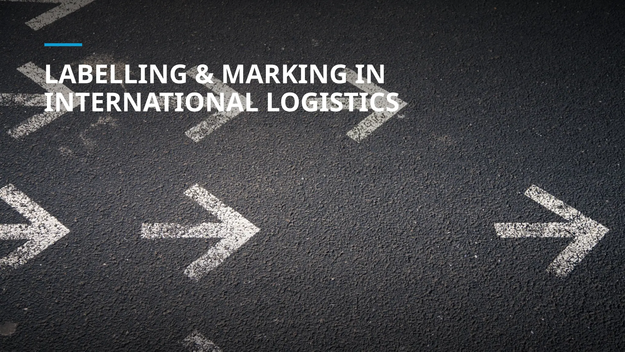LABELLING MARKING IN INTERNATIONAL LOGISTICS.pptx