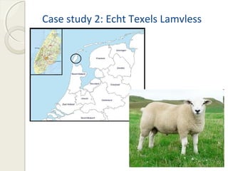 Case study 2: Echt Texels Lamvless 
 