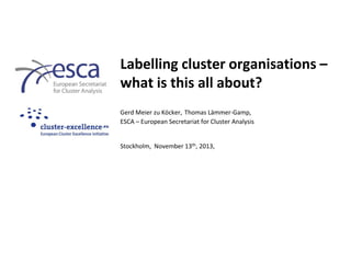 Labelling cluster organisations –
what is this all about?
Gerd Meier zu Köcker, Thomas Lämmer-Gamp,
ESCA – European Secretariat for Cluster Analysis
Stockholm, November 13th, 2013,
 