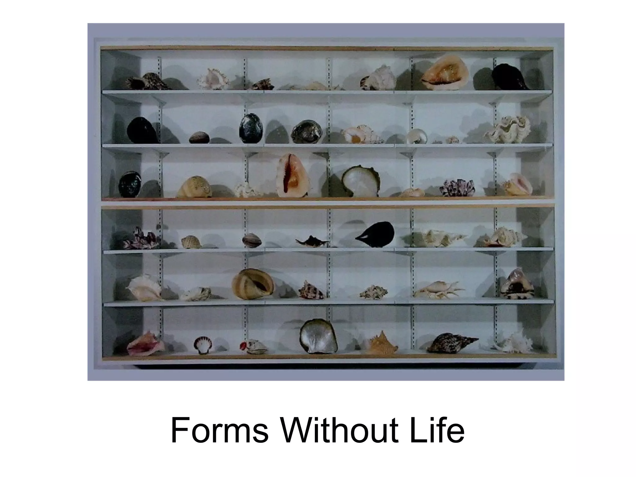 Forms Without Life
 