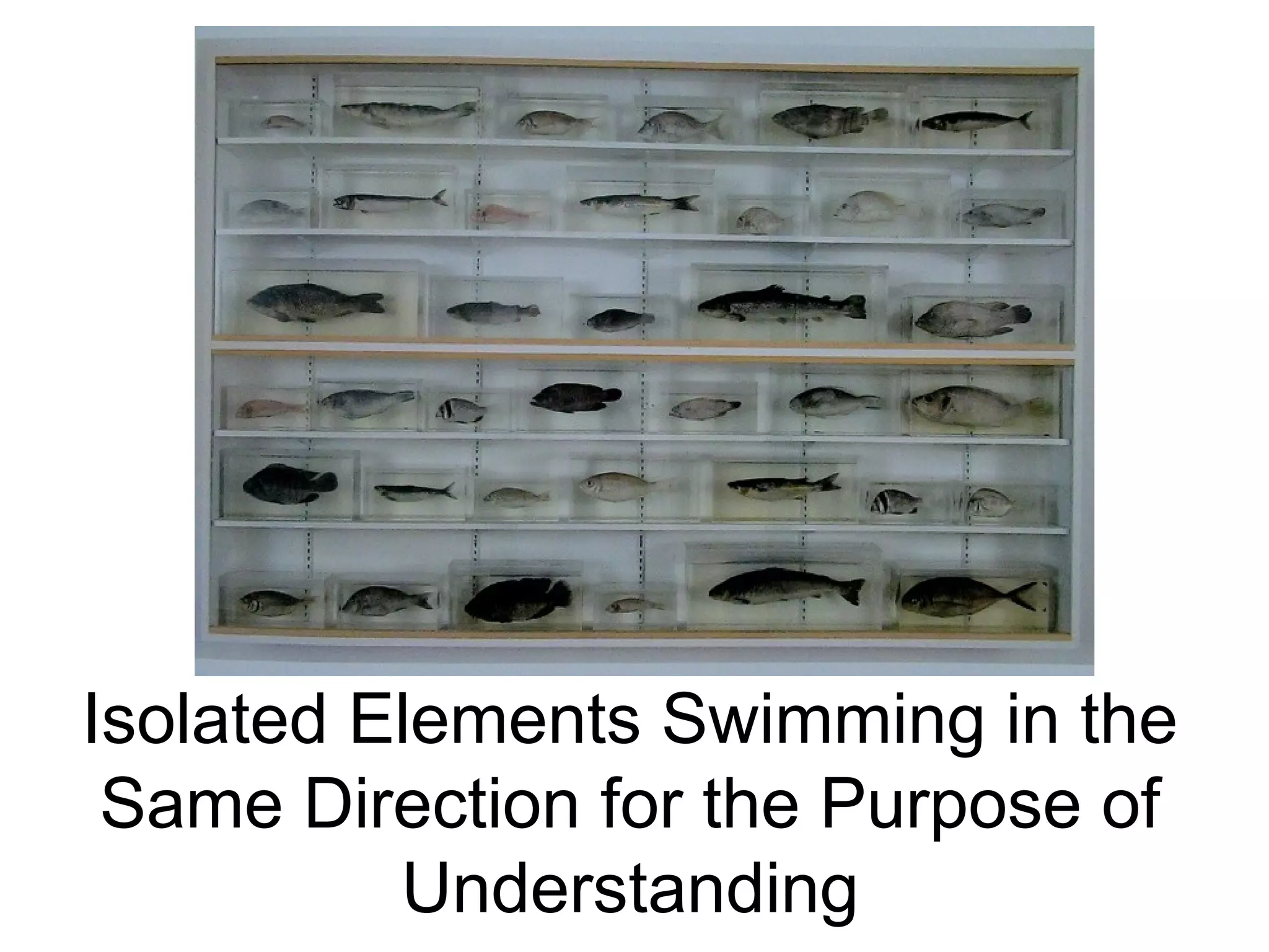 Isolated Elements Swimming in the
Same Direction for the Purpose of
Understanding
 