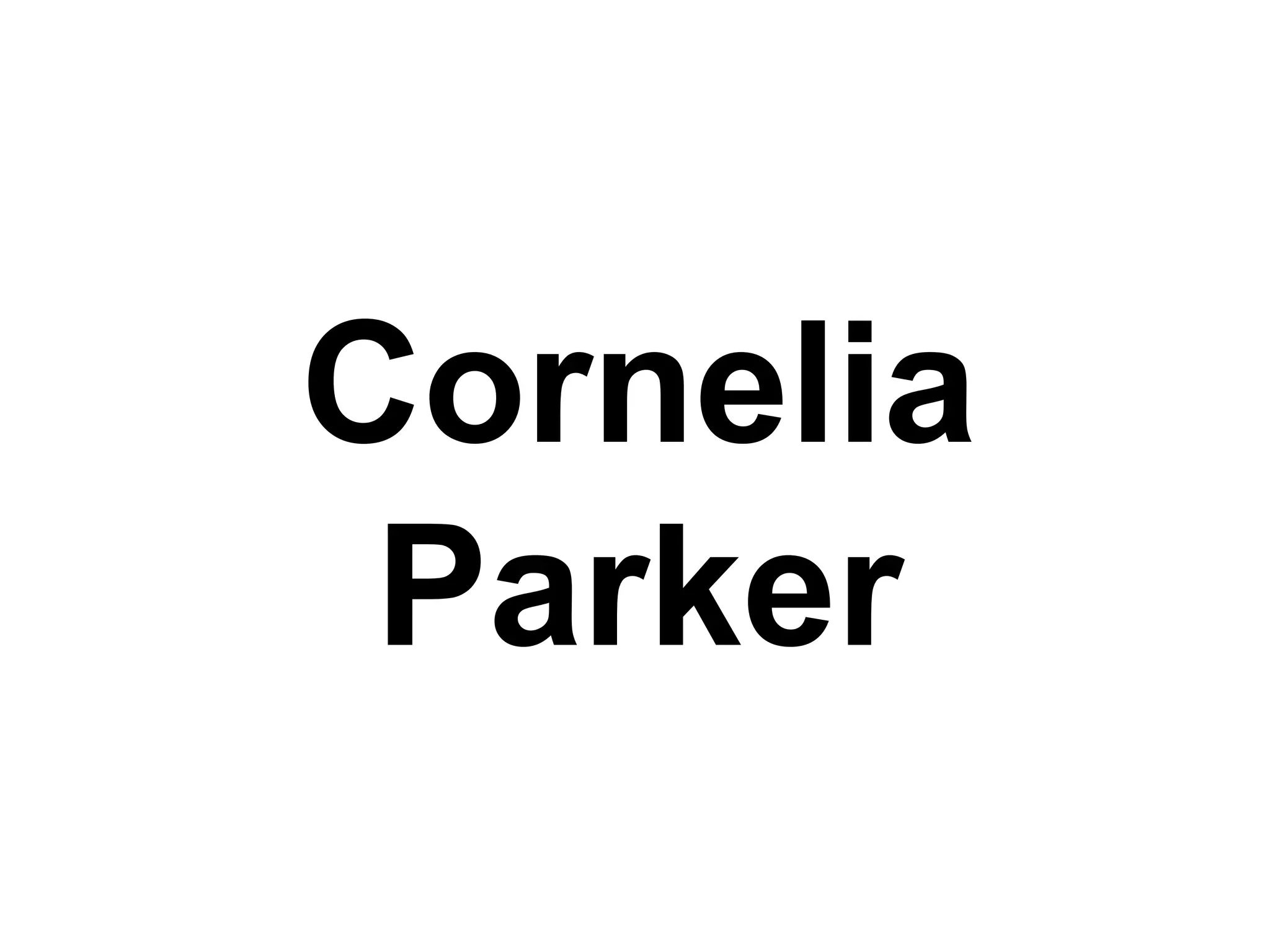 Cornelia
Parker
 