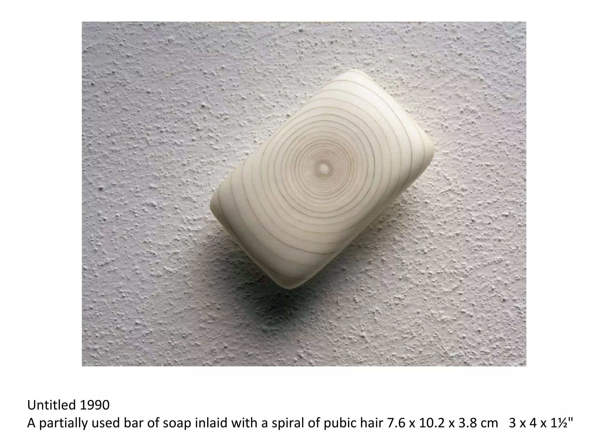 Untitled 1990 
A partially used bar of soap inlaid with a spiral of pubic hair 7.6 x 10.2 x 3.8 cm   3 x 4 x 1½"
 