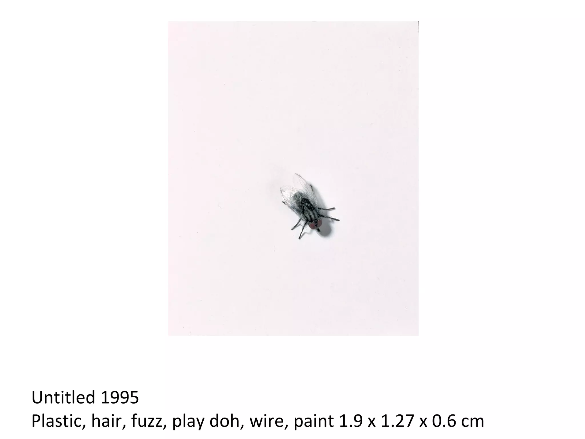 Untitled 1995 
Plastic, hair, fuzz, play doh, wire, paint 1.9 x 1.27 x 0.6 cm
 