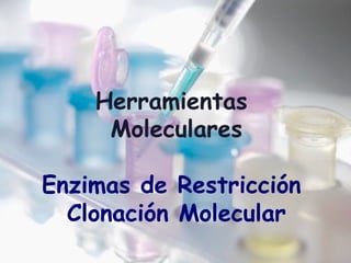 Herramientas
Moleculares
Enzimas de Restricción
Clonación Molecular
 