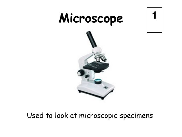 ppt lab