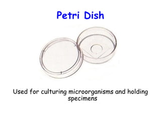 Petri Dish

Used for culturing microorganisms and holding
specimens

 