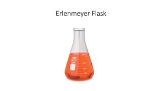 Erlenmeyer Flask 
 