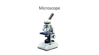 Microscope