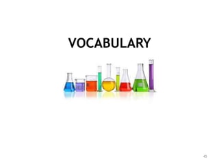 VOCABULARY
45
 