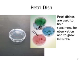 Petri Dish
Petri dishes
are used to
hold
specimens for
observation
and to grow
cultures.
57
 