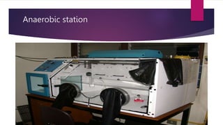 Anaerobic station
 