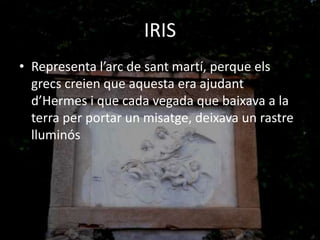 IRIS
• Representa l’arc de sant martí, perque els
grecs creien que aquesta era ajudant
d’Hermes i que cada vegada que baixava a la
terra per portar un misatge, deixava un rastre
lluminós
 