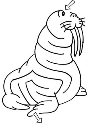 Laberintos divertidos