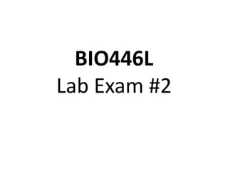 BIO446L
Lab Exam #2
 