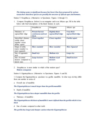 The timing seems to significant because has been it has been proposed by various
researchers that these species are possibly the ancestor of African apes and humans.
Station 5: Sivapithecus (Alternative to Specimens: Figures A through C)
1. Compare Sivapithecus (below) to an orangutan and to an African ape. Fill in the table
below with brief descriptions of the listed features in each.
Sivapithecus Orangutan African ape
Thickness of
supraorbital ridge
Present but not
continuous and not
thick.
Slightly thick
supraorbital ridge
Very thick
supraorbital ridge
Interorbital distance
(orbits closer
together versus
farther apart)
Closer together Closer together Farther apart
Shape of orbits
(more rounded vs.
more squared)
More rounded More rounded More Squared
Size of zygomatic
arch
Small size Medium size Large size
Size of central
incisors compared to
lateral ones
Large incisors Medium sized
incisors
Small incisors
2. Sivapithecus is most similar to which of the modern apes?
Modern orangutan
Station 6: Gigantopithecus (Alternative to Specimens: Figures A and B)
1. Compare the Gigantopithecus specimen to a gorilla mandible. In what ways do they differ
from one another in terms of:
a Overall size of mandible:
The Gigantopithecus is much larger than the gorilla mandible
b Depth of mandible:
The Gigantopithecus has a deeper mandible than the gorilla
c Thickness of mandible:
The Gigantopithecus thickness of mandible is more defined than the gorilla which is less
thick
d Size of canine compared to other teeth:
The gorilla has longer and sharper canines than the Gigantopithecus
 