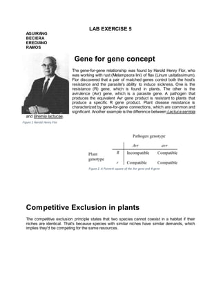 LAB EXERCISE 5
AGUIRANG
BECIERA
EREDIANO
RAMOS
Gene for gene concept
The gene-for-gene relationship was found by Harold Henry Flor, who
was working with rust (Melampsora lini) of flax (Linum usitatissimum).
Flor discovered that a pair of matched genes control both the host's
resistance and the parasite's ability to induce sickness. One is the
resistance (R) gene, which is found in plants. The other is the
avirulence (Avr) gene, which is a parasite gene. A pathogen that
produces the equivalent Avr gene product is resistant to plants that
produce a specific R gene product. Plant disease resistance is
characterized by gene-for-gene connections, which are common and
significant. Another example is the difference between Lactuca serriola
and Bremia lactucae.
Competitive Exclusion in plants
The competitive exclusion principle states that two species cannot coexist in a habitat if their
niches are identical. That's because species with similar niches have similar demands, which
implies they'd be competing for the same resources.
Figure 1 Harold Henry Flor
Figure 2. A Punnett square of the Avr gene and R gene
 