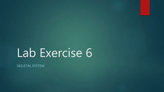 Anatomy Lab exercise 6 | PPTX