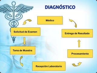 Médico
Solicitud de Examen
Toma de Muestra
Entrega de Resultado
Procesamiento
Recepción Laboratorio
 