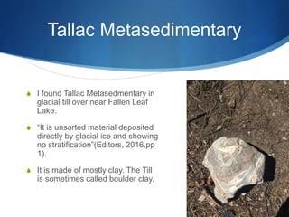 Tallac Metasedimentary
S I found Tallac Metasedmentary in
glacial till over near Fallen Leaf
Lake.
S “It is unsorted material deposited
directly by glacial ice and showing
no stratification”(Editors, 2016,pp
1).
S It is made of mostly clay. The Till
is sometimes called boulder clay.
 