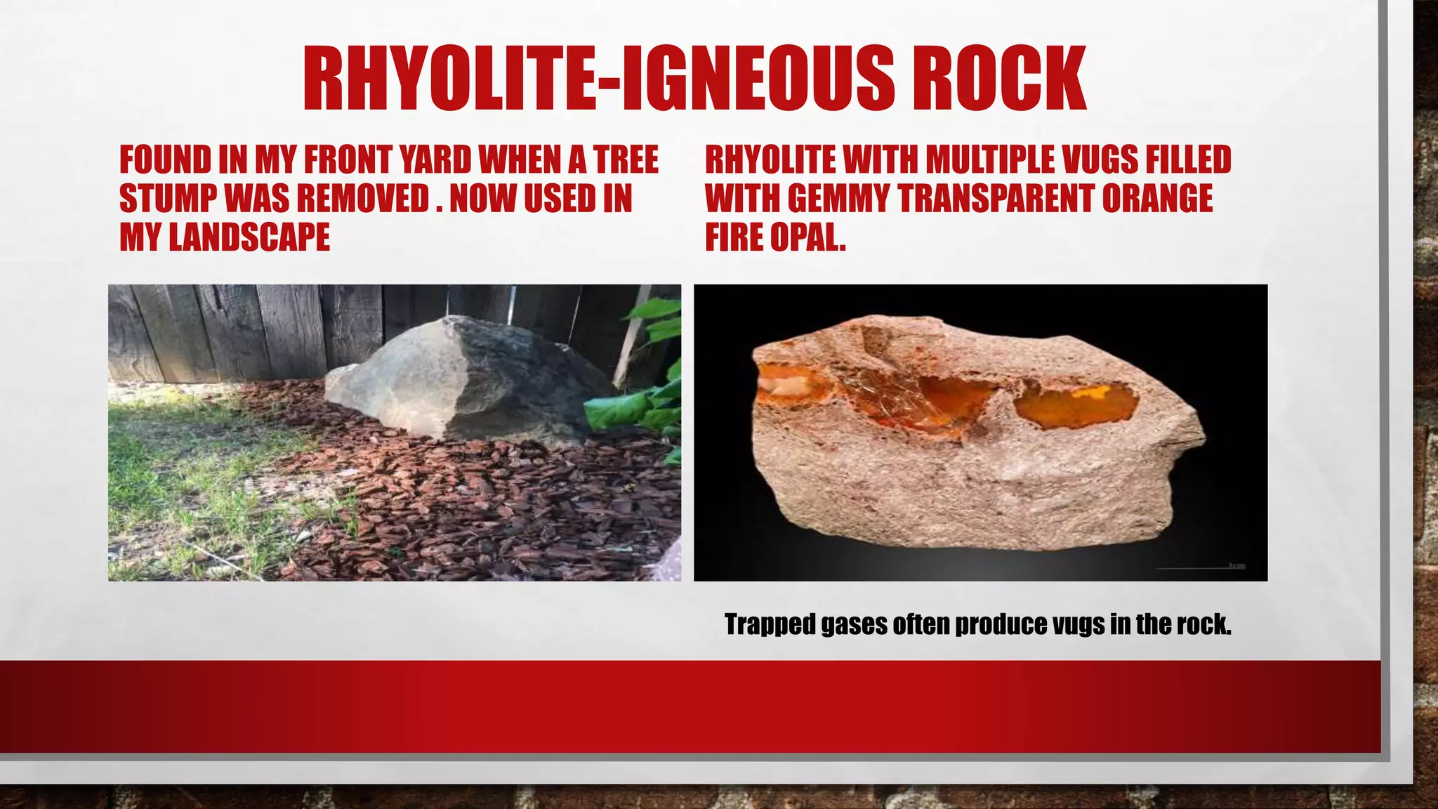 RHYOLITE-IGNEOUS ROCK
FOUND IN MY FRONT YARD WHEN A TREE
STUMP WAS REMOVED . NOW USED IN
MY LANDSCAPE
RHYOLITE WITH MULTIPLE VUGS FILLED
WITH GEMMY TRANSPARENT ORANGE
FIRE OPAL.
Trapped gases often produce vugs in the rock.
 