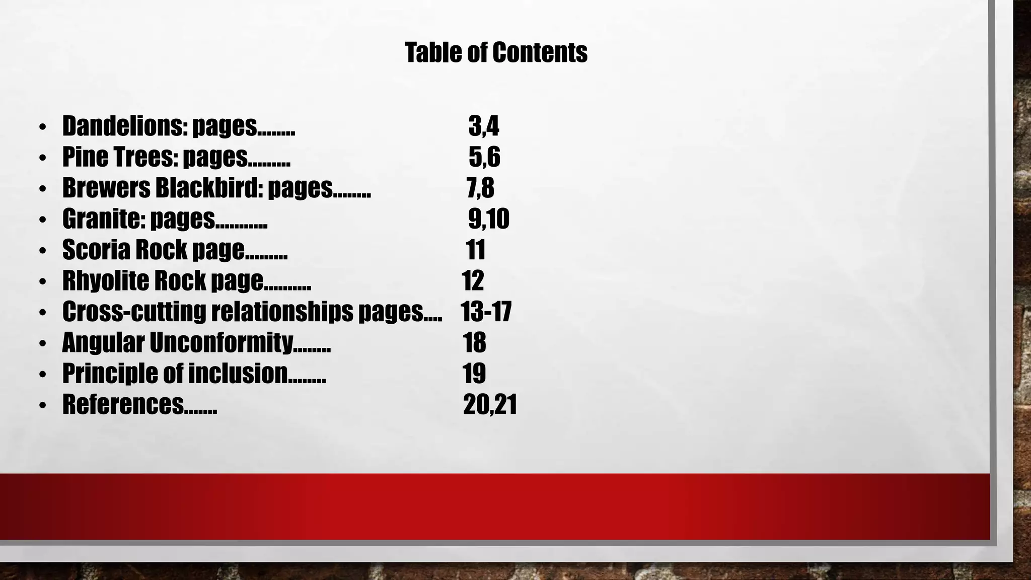 Table of Contents
• Dandelions: pages…….. 3,4
• Pine Trees: pages……… 5,6
• Brewers Blackbird: pages…….. 7,8
• Granite: pages……….. 9,10
• Scoria Rock page……… 11
• Rhyolite Rock page………. 12
• Cross-cutting relationships pages…. 13-17
• Angular Unconformity…….. 18
• Principle of inclusion…….. 19
• References……. 20,21
 