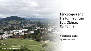 Landscapes and
life forms of San
Luis Obispo,
California
A geological study:
By Neha J Pande
Picture by: Neha J Pande
 