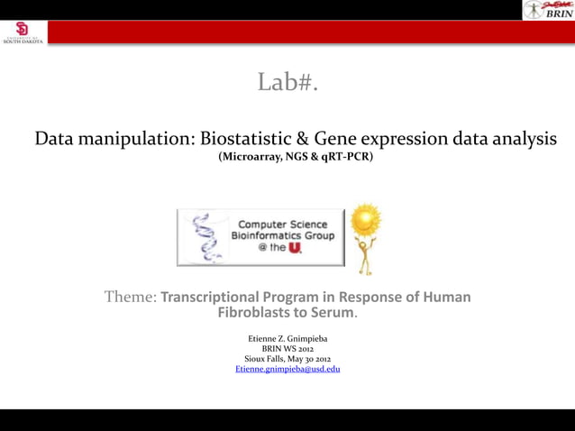 Lab Gene Expression Data Analysis | PPTX