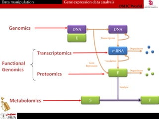 Lab Gene Expression Data Analysis | PPTX